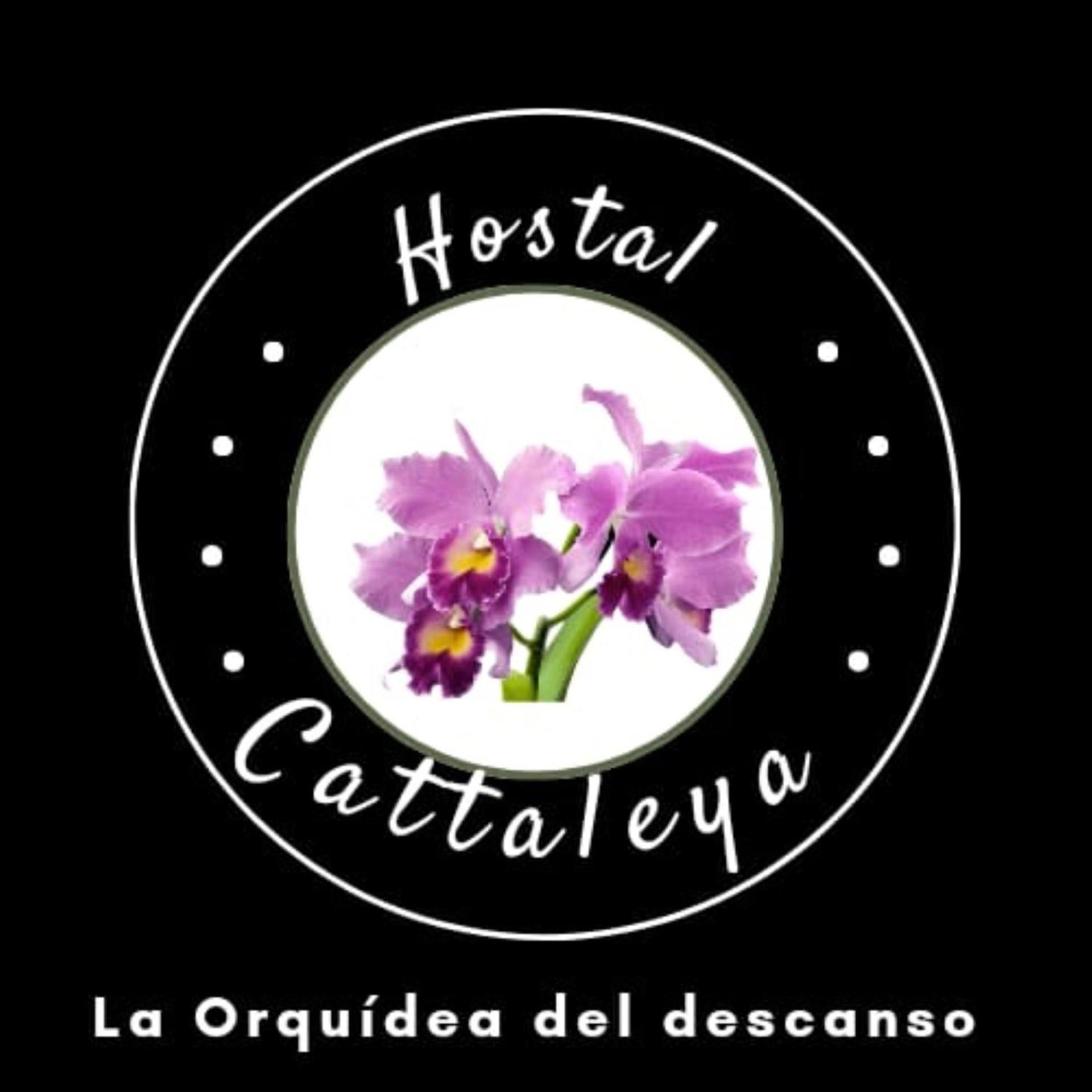 Catalleya Hostel