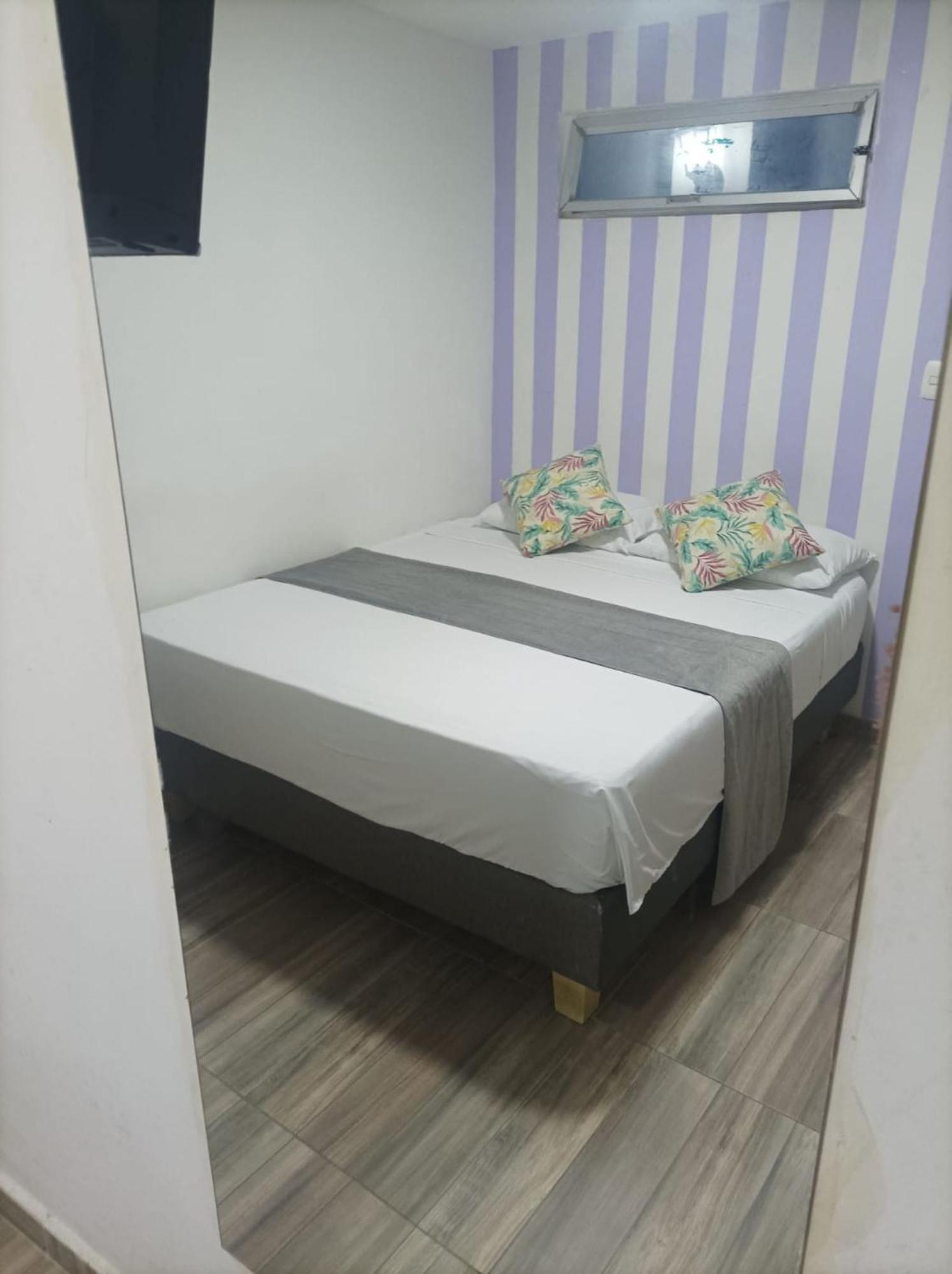 Catalleya * Cartagena